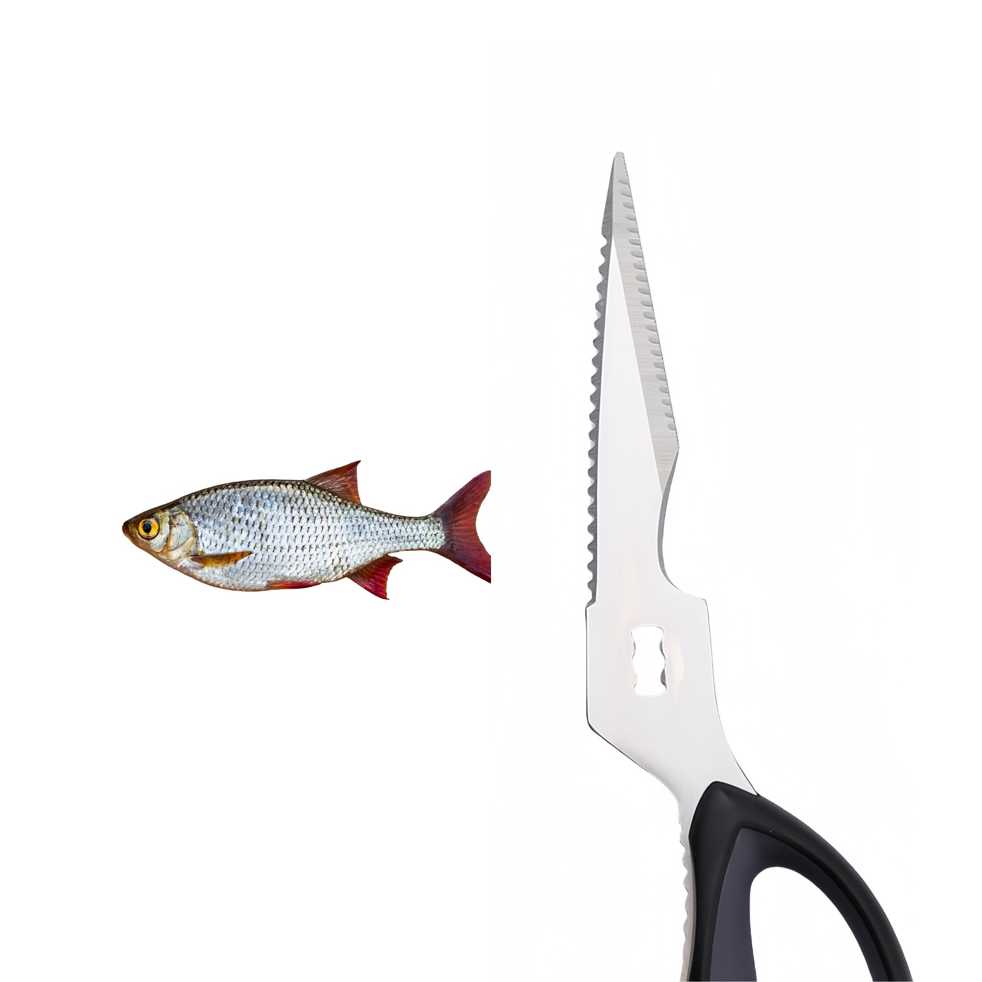our kitchen scissors includes a serrated fish scaler to help remove fish scales quickly and efficiently